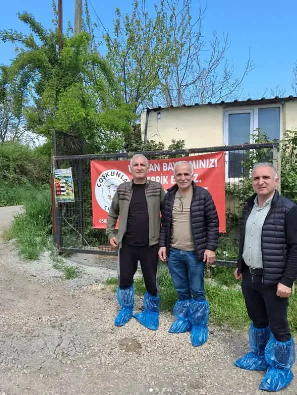 catalca kurbanlik dana satis ciftligi referans